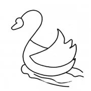 一组天鹅简笔画图片大全