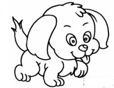 泰迪狗简笔画图片