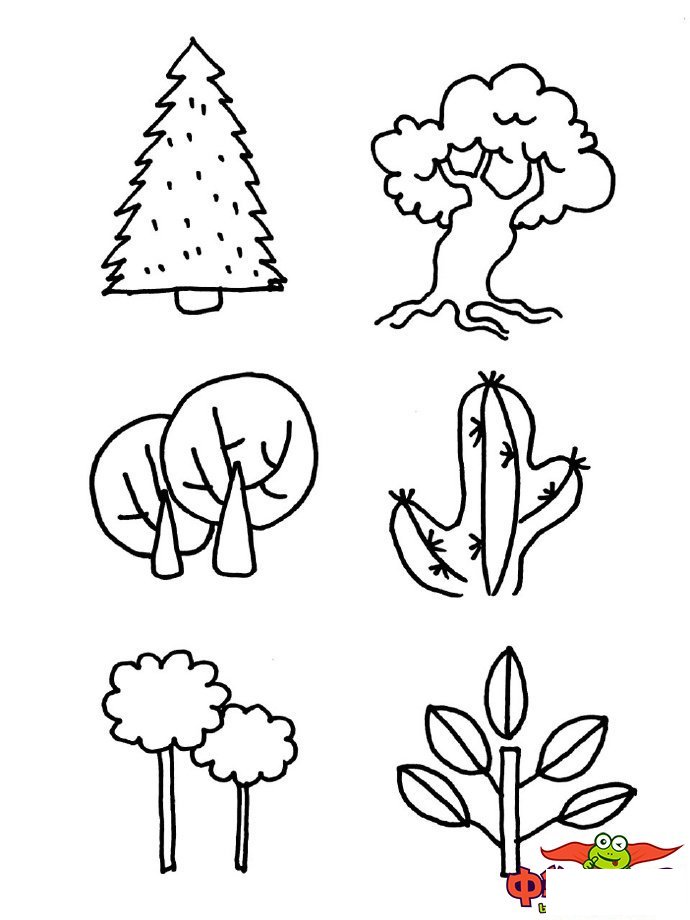大树怎么画才好看图片,各种大树简笔画图片大全