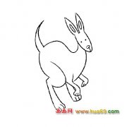 袋鼠【动物简笔画】2