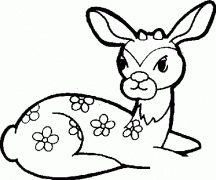 美丽的梅花鹿简笔画画法_怎么画美丽的梅花鹿