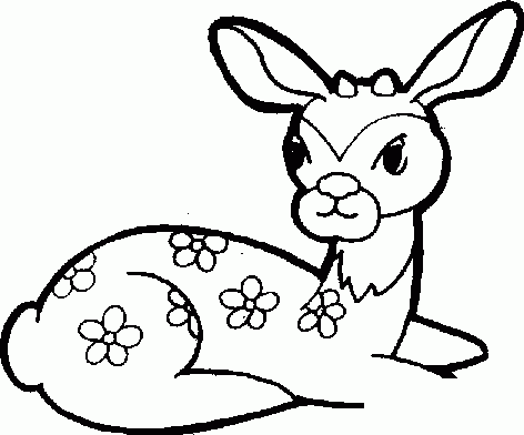 简笔画美丽的梅花鹿的具体画法步骤图片教程