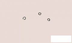 花瓶简笔画步骤画法教程