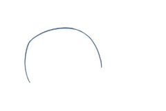 可爱的鲸鱼简笔画步骤图解