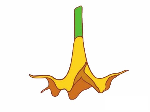 曼陀罗简笔画图片大全作品四