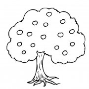 果树植物简笔画步骤图片大全三