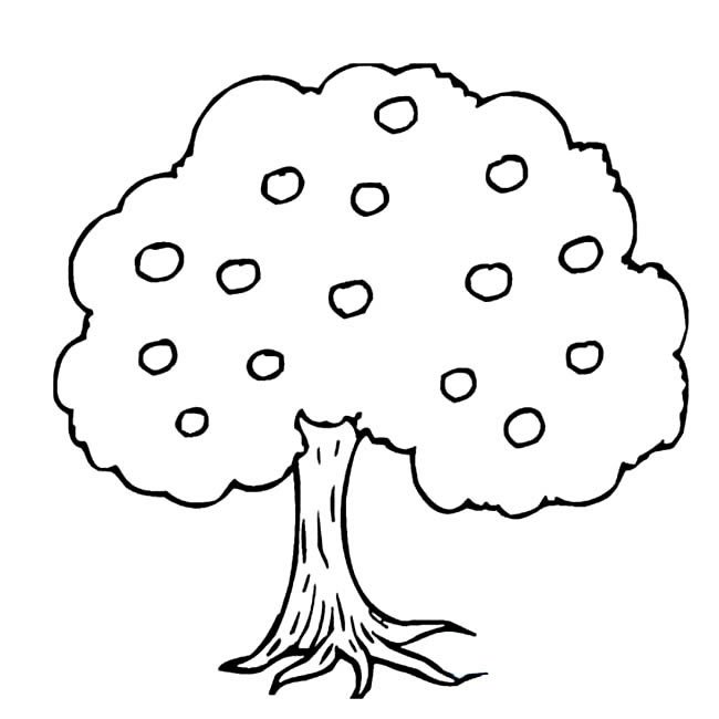 果树植物简笔画步骤图片大全