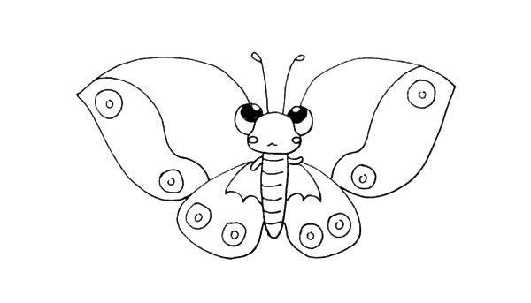 漂亮的蝴蝶简笔画