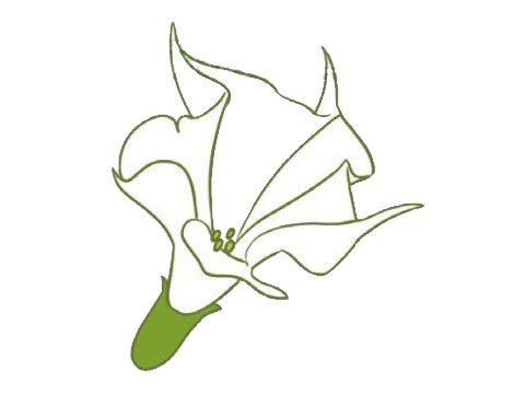 曼陀罗简笔画图片大全作品三