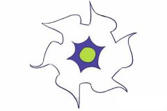 曼陀罗花简笔画的画法步骤教程及图片大