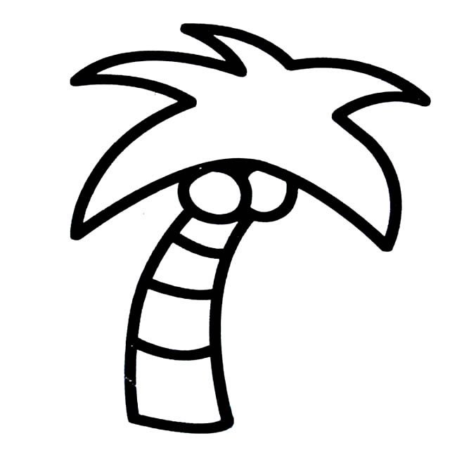 椰子树植物简笔画步骤图片大全二