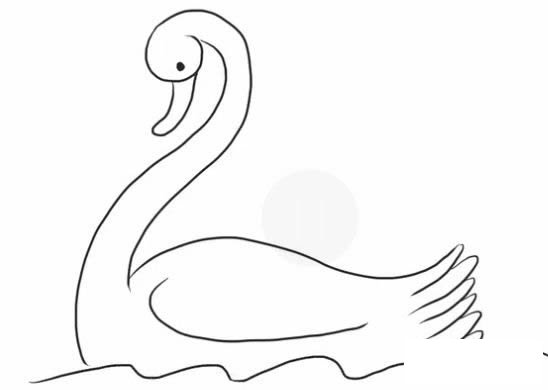 水中的白天鹅简笔画步骤图解