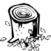 大树桩植物简笔画步骤图片大全