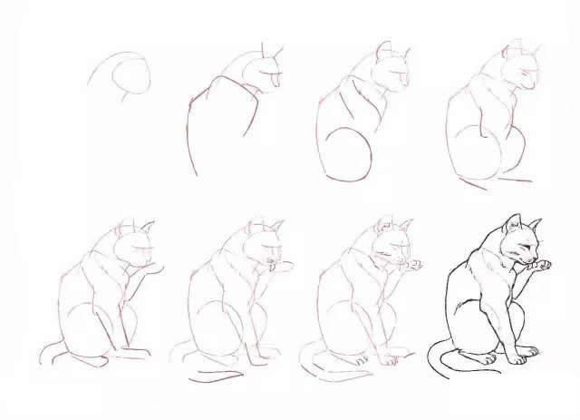 10种不同的小猫咪画法大全