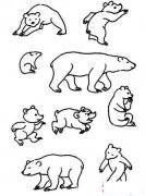 各种体态的熊简笔画图片大全