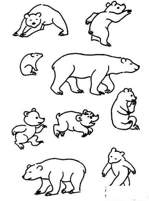 各种体态的熊简笔画图片大全