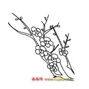 满枝梅花简笔画