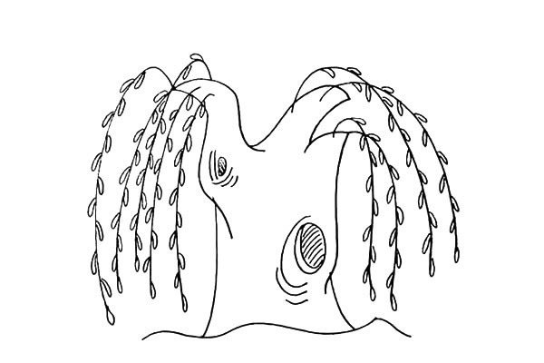 柳树简笔画步骤图