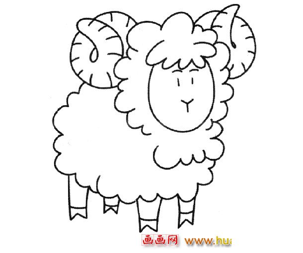卡通小绵羊_动物简笔画