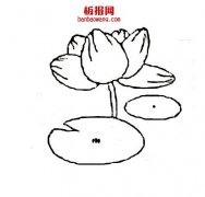 莲花简笔画
