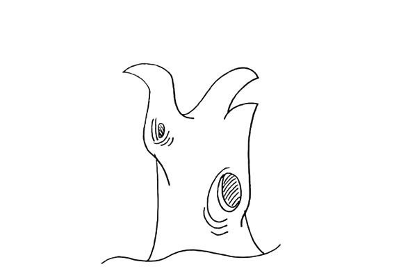 柳树简笔画步骤图