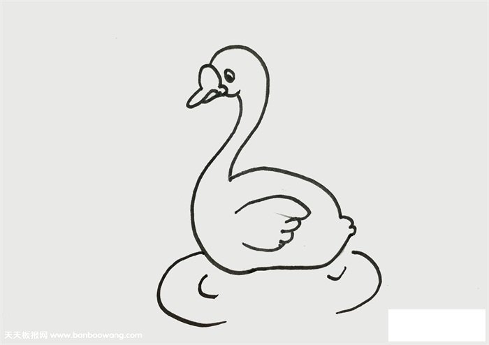 天鹅怎么画