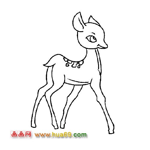 动物简笔画:微笑的小梅花鹿