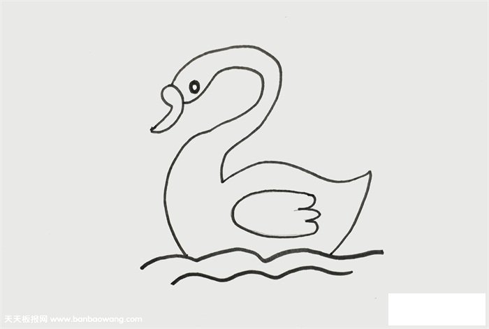 天鹅怎么画才漂亮