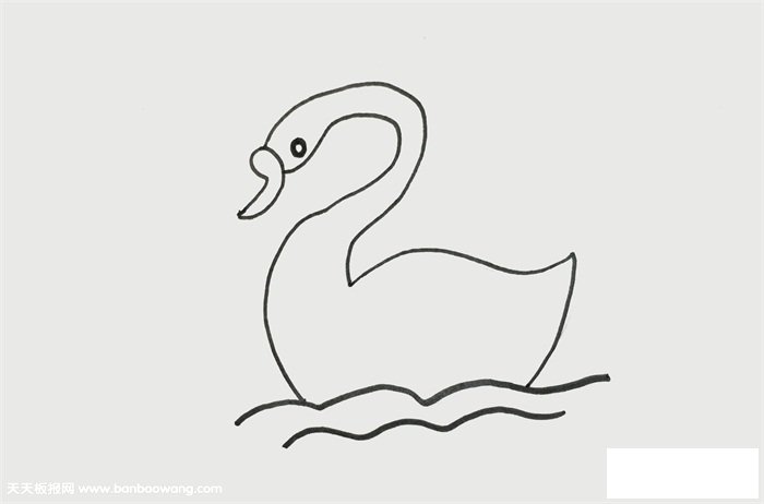 天鹅怎么画才漂亮
