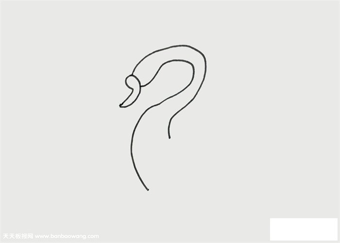 天鹅怎么画才漂亮
