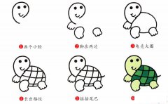 乌龟简笔画画法_怎么画乌龟的简笔画
