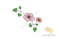 蝴蝶花和绿藤简笔画