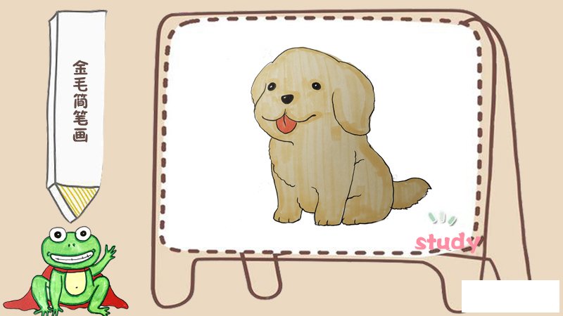 金毛简笔画