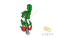 蟹爪兰简笔画图片大全