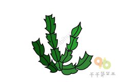 蟹爪兰简笔画步骤图