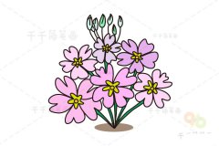 西洋獐耳简笔画