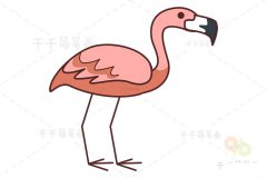 火烈鸟简笔画画法