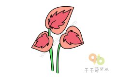 观叶秋海棠简笔画