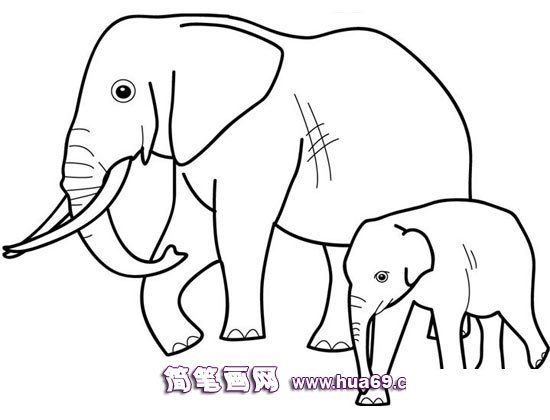 大象妈妈和小象一起散步的简笔画