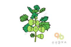 贝壳花简笔画画法