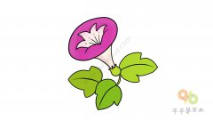 路边的牵牛花简笔画