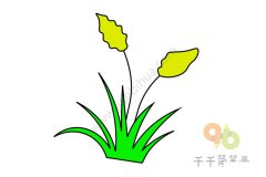 路边的黄色小花简笔画