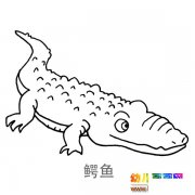 儿童简笔画图片:一只大鳄鱼