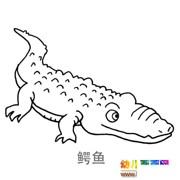 儿童简笔画图片：一只大鳄鱼