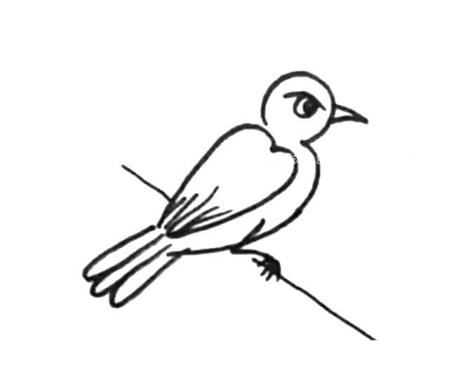2张小鸟简笔画图片 小鸟的简单画法