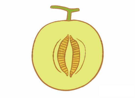 哈密瓜简笔画图片