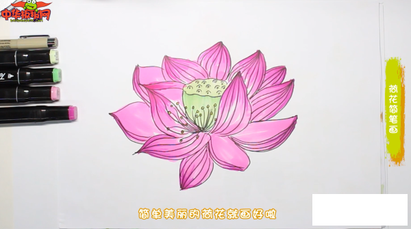 荷花简笔画