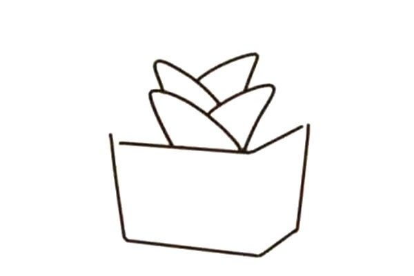 漂亮的多肉植物简笔画