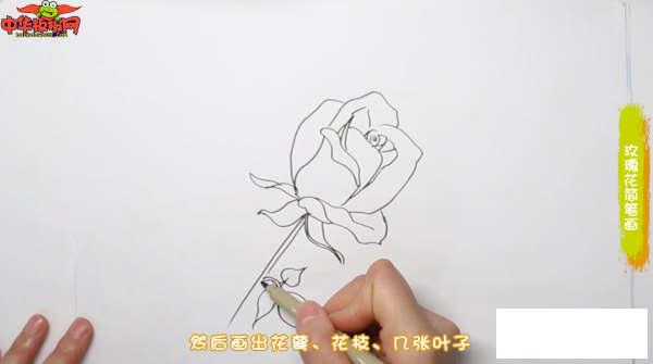 玫瑰花简笔画