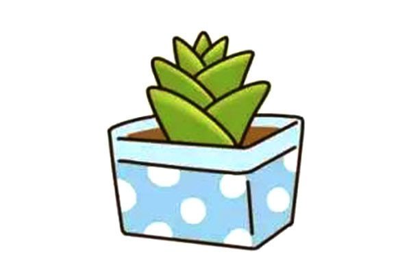 漂亮的多肉植物简笔画